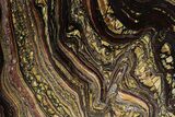Polished Tiger Iron Stromatolite Slab - Billion Years #351800-1